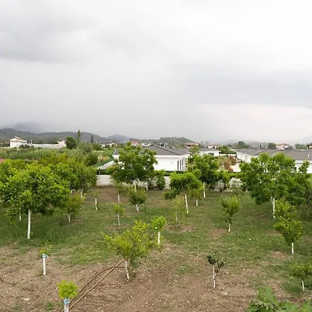 فيلة Farmvilla